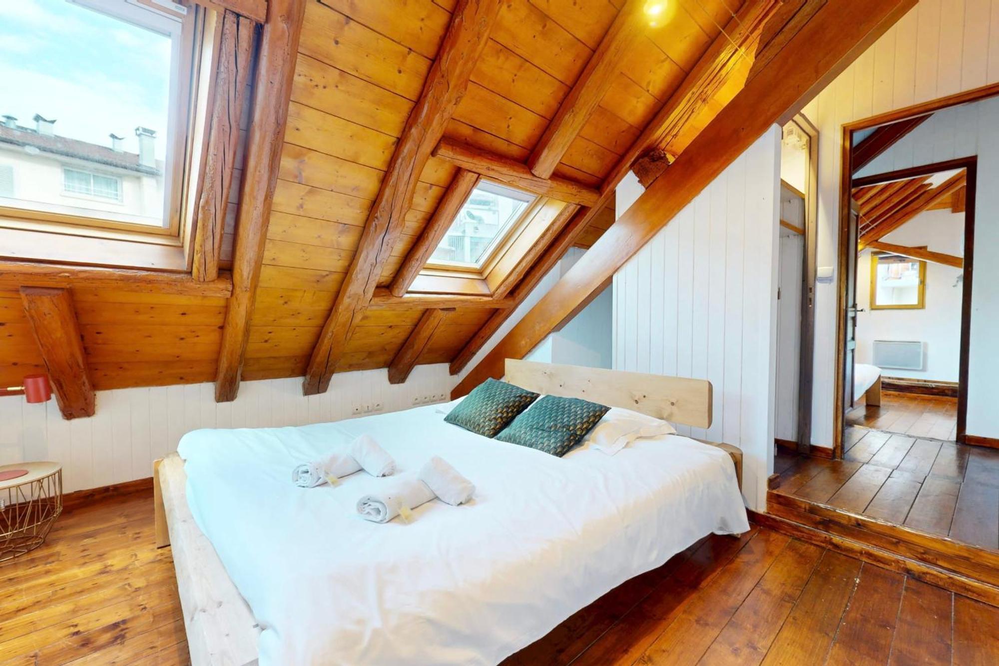 Le Paquier 7 - Bel 2 En Plein Centre Appartement Annecy